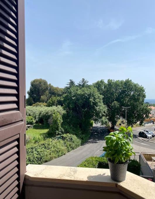 A Casa Di Tina Apartment Genzano di Roma Ngoại thất bức ảnh